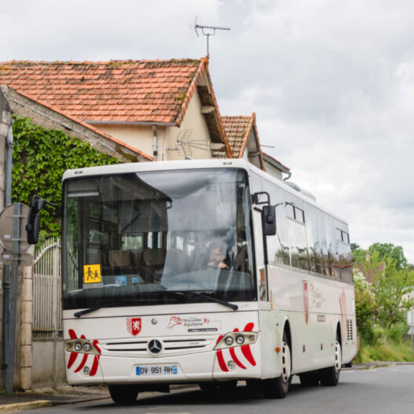 bus