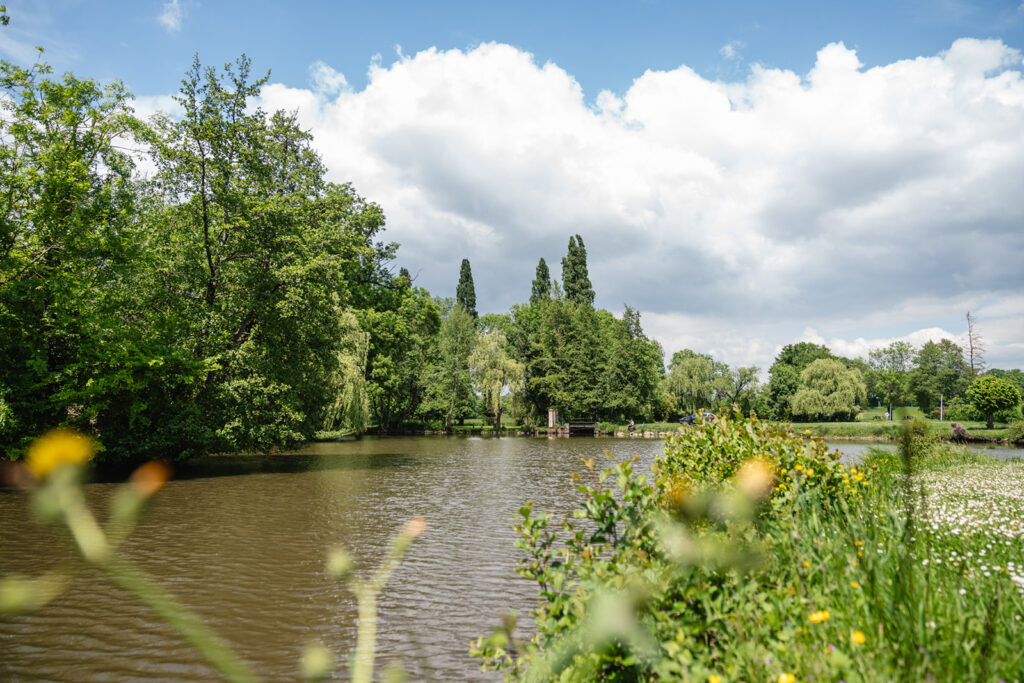 paysage naturel