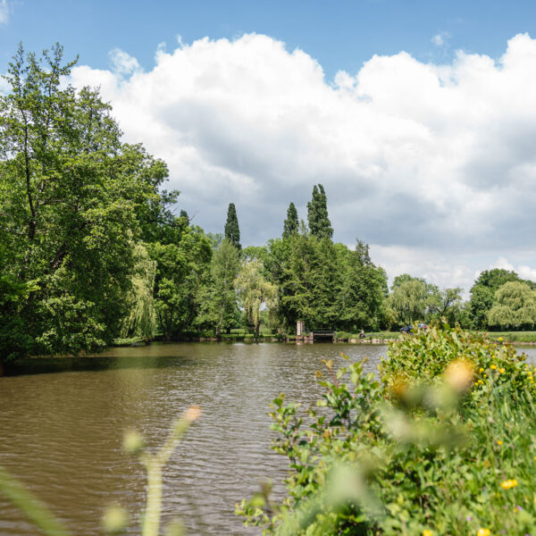 paysage naturel
